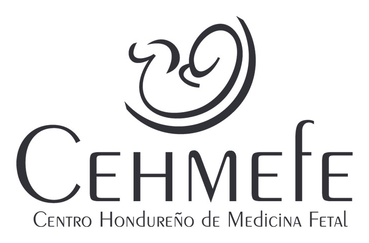 CEHMEFE